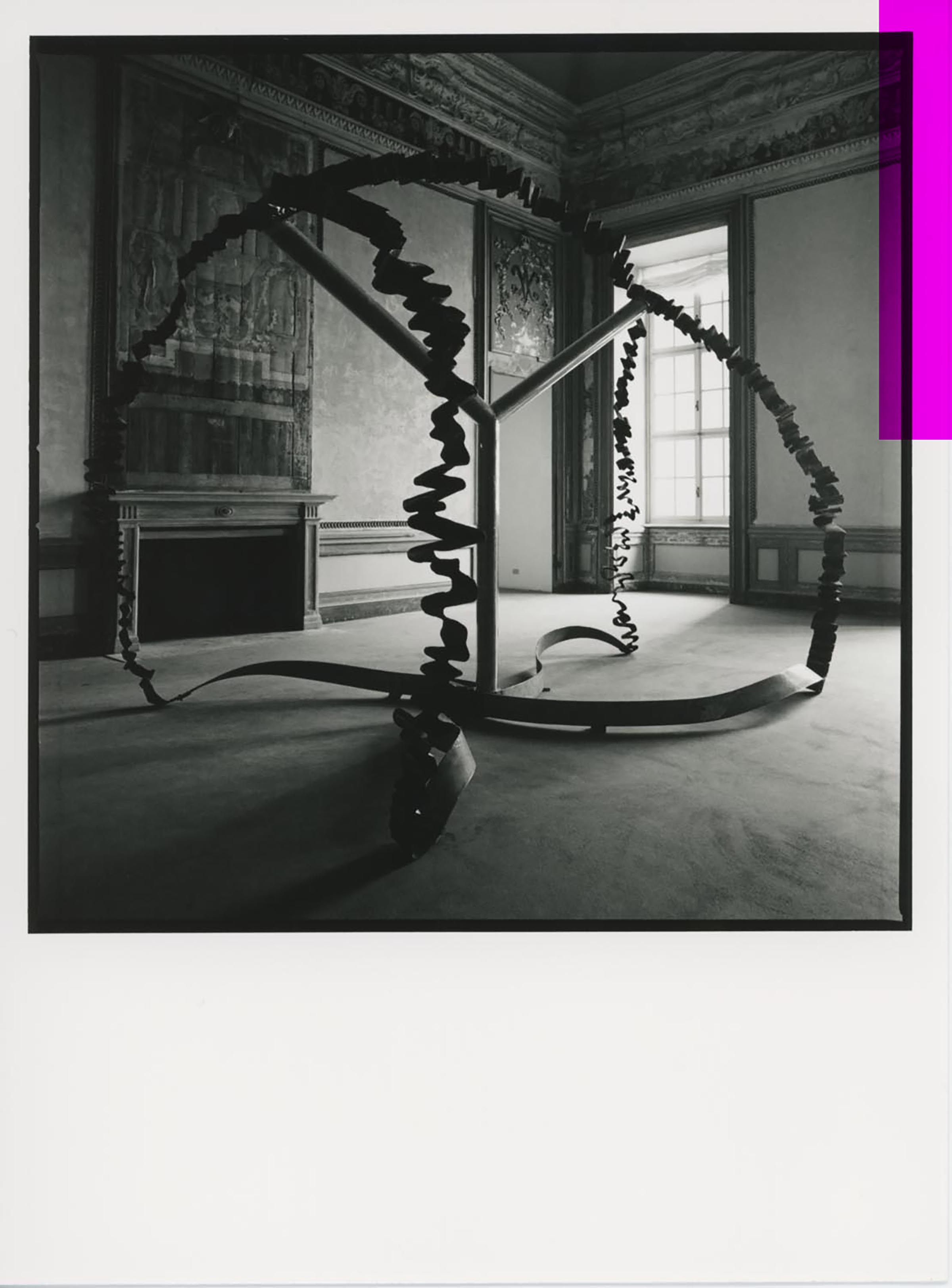 Giuseppe Penone, Suture, 1987-91